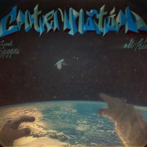 少妇人妻一级A毛片无码范冰冰
